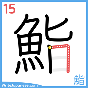 How to write "鮨" - stroke 15