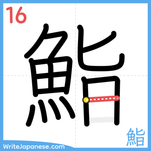 How to write "鮨" - stroke 16