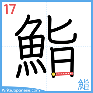 How to write "鮨" - stroke 17