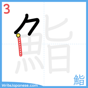 How to write "鮨" - stroke 3