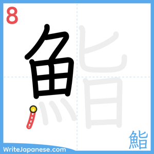 How to write "鮨" - stroke 8