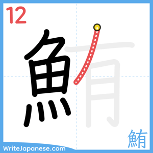 How to write "鮪" - stroke 12
