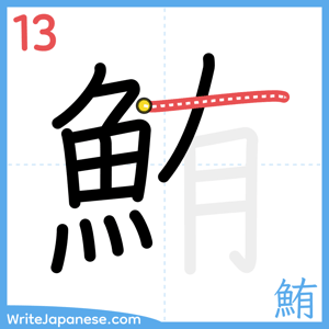 How to write "鮪" - stroke 13