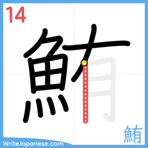 How to write "鮪" - stroke 14