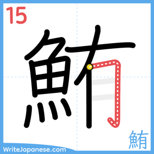 How to write "鮪" - stroke 15