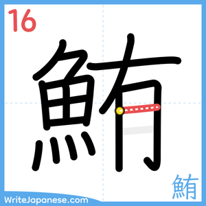 How to write "鮪" - stroke 16