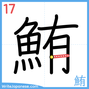 How to write "鮪" - stroke 17
