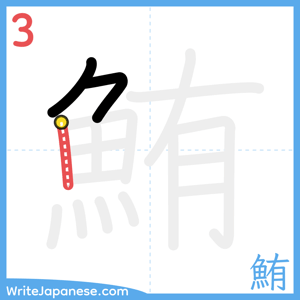 How to write "鮪" - stroke 3