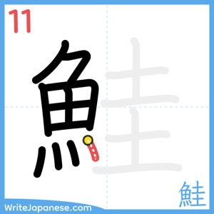 How to write "鮭" - stroke 11