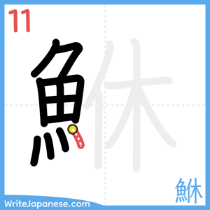 How to write "鮴" - stroke 11