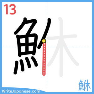 How to write "鮴" - stroke 13