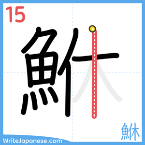How to write "鮴" - stroke 15