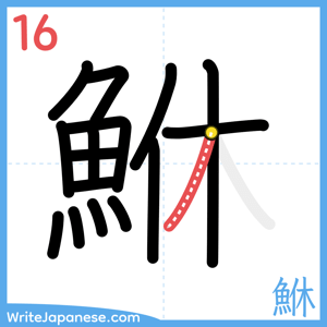 How to write "鮴" - stroke 16