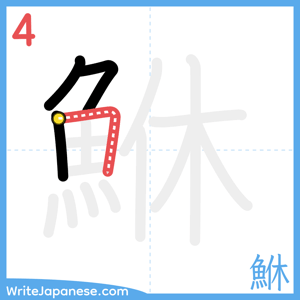 How to write "鮴" - stroke 4