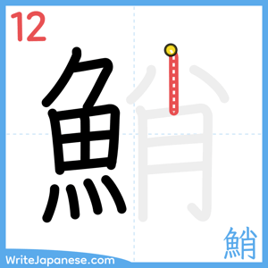 How to write "鮹" - stroke 12