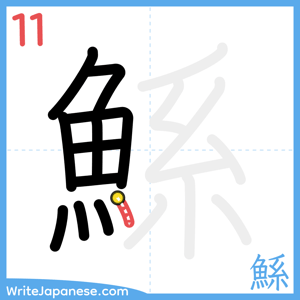 How to write "鯀" - stroke 11