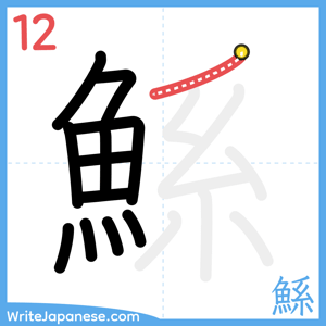 How to write "鯀" - stroke 12