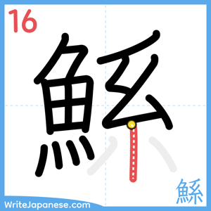 How to write "鯀" - stroke 16