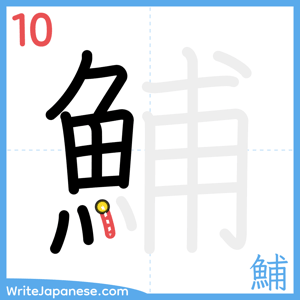 How to write "鯆" - stroke 10