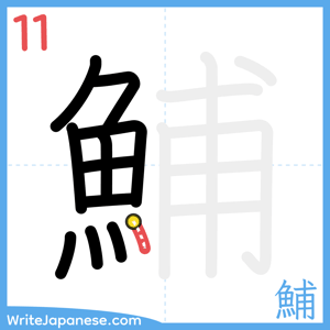 How to write "鯆" - stroke 11