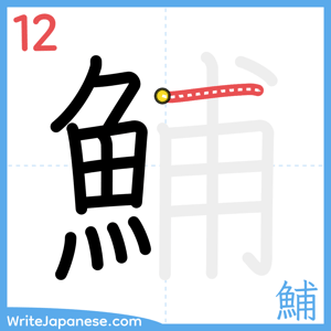 How to write "鯆" - stroke 12