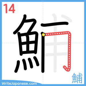 How to write "鯆" - stroke 14