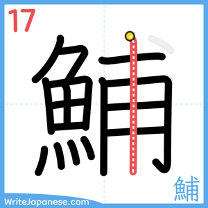 How to write "鯆" - stroke 17