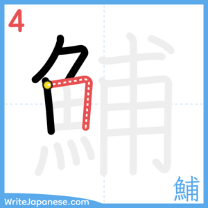 How to write "鯆" - stroke 4