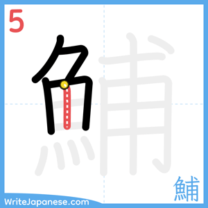 How to write "鯆" - stroke 5