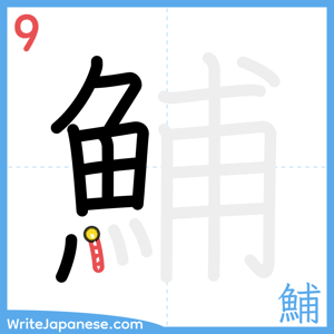 How to write "鯆" - stroke 9