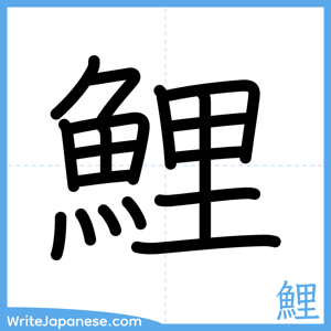 How to write "鯉" - complete stroke order