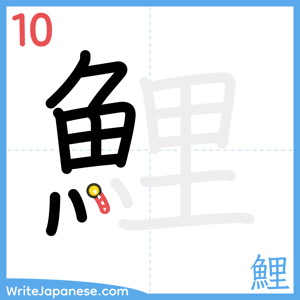 How to write "鯉" - stroke 10