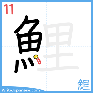 How to write "鯉" - stroke 11