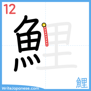 How to write "鯉" - stroke 12