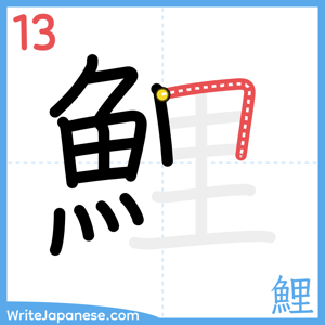 How to write "鯉" - stroke 13