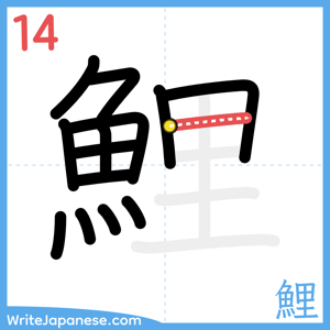 How to write "鯉" - stroke 14