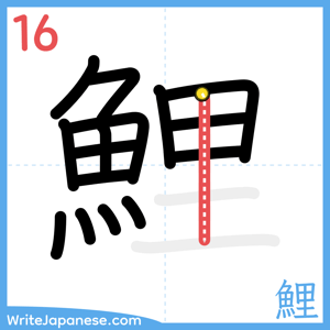 How to write "鯉" - stroke 16
