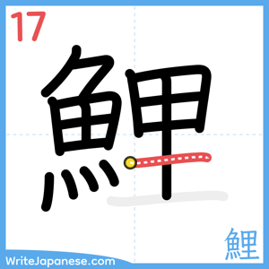 How to write "鯉" - stroke 17