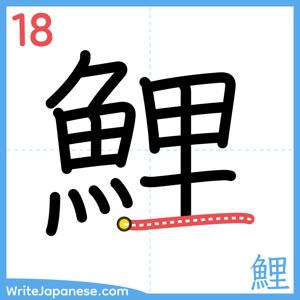 How to write "鯉" - stroke 18