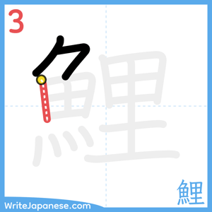 How to write "鯉" - stroke 3