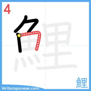 How to write "鯉" - stroke 4
