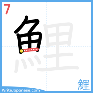 How to write "鯉" - stroke 7