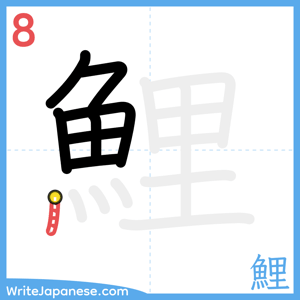 How to write "鯉" - stroke 8