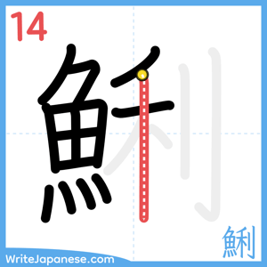 How to write "鯏" - stroke 14