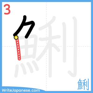 How to write "鯏" - stroke 3