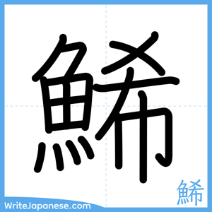 How to write "鯑" - complete stroke order