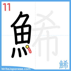 How to write "鯑" - stroke 11