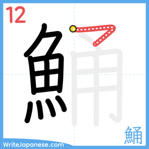 How to write "鯒" - stroke 12