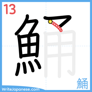 How to write "鯒" - stroke 13