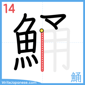 How to write "鯒" - stroke 14